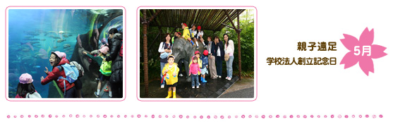 5/t̉EwZ@lnLO